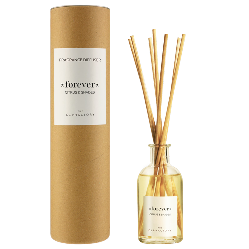 Ambientair Olphactory - Natural Duftpinner 100ml