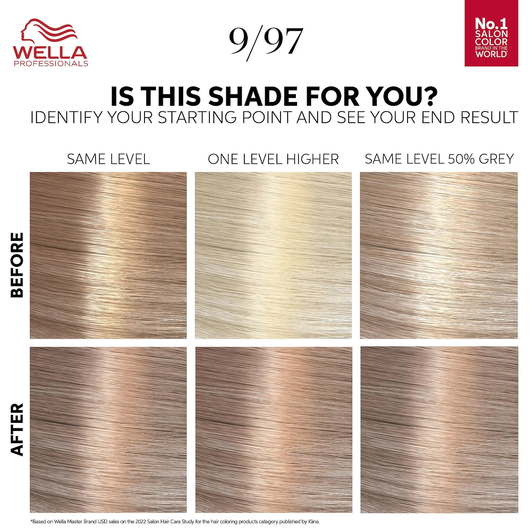Color Touch Rich Natural Cool Beige Blonde 9/97