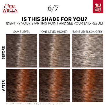 Color Touch Deep Brown Chocolate 6/7
