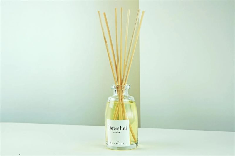 Ambientair Olphactory - Natural Duftpinner 100ml - Interjør - JK-Shop