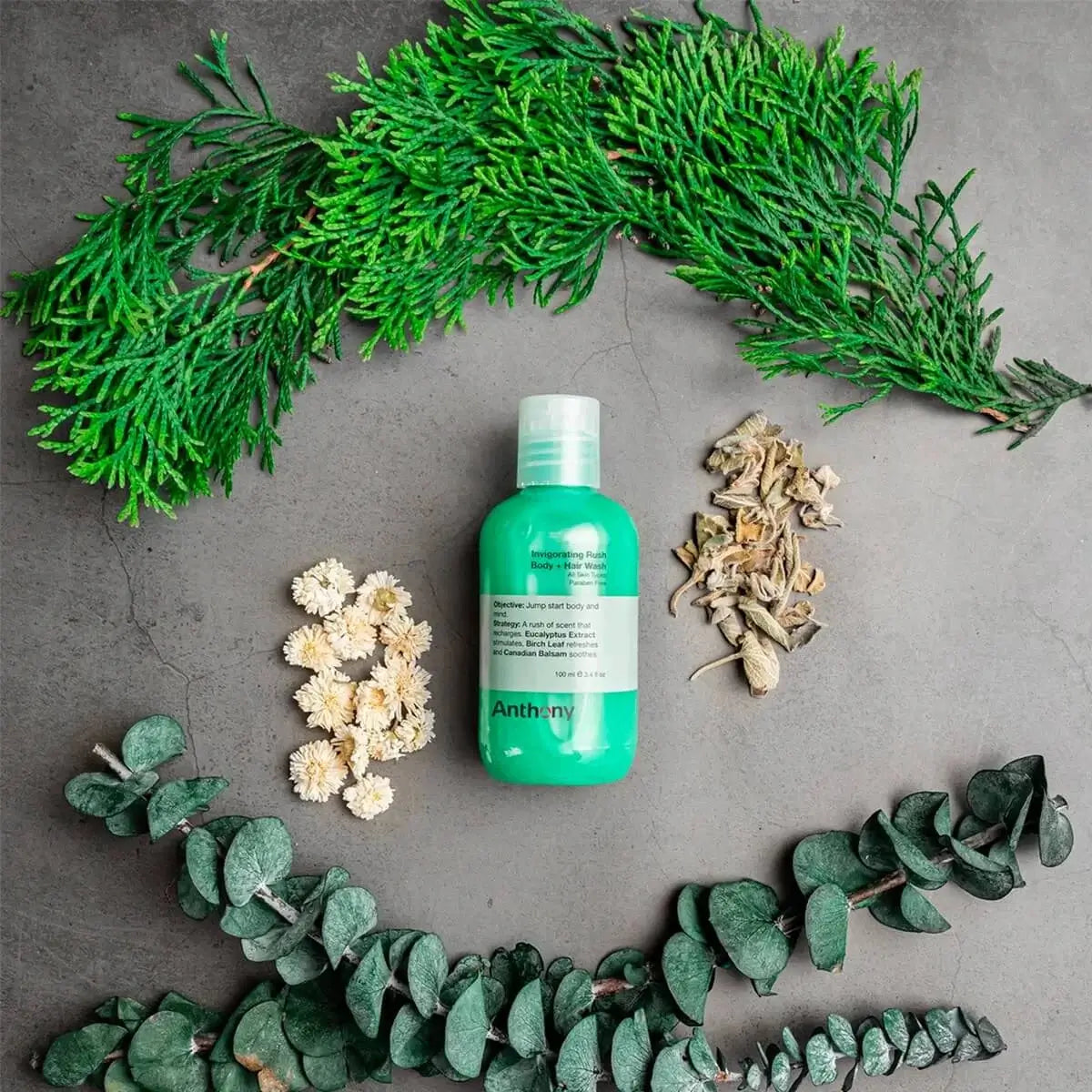 Anthony Invigorating Rush Hair & Body Wash-Dusjsåpe-JKSHOP