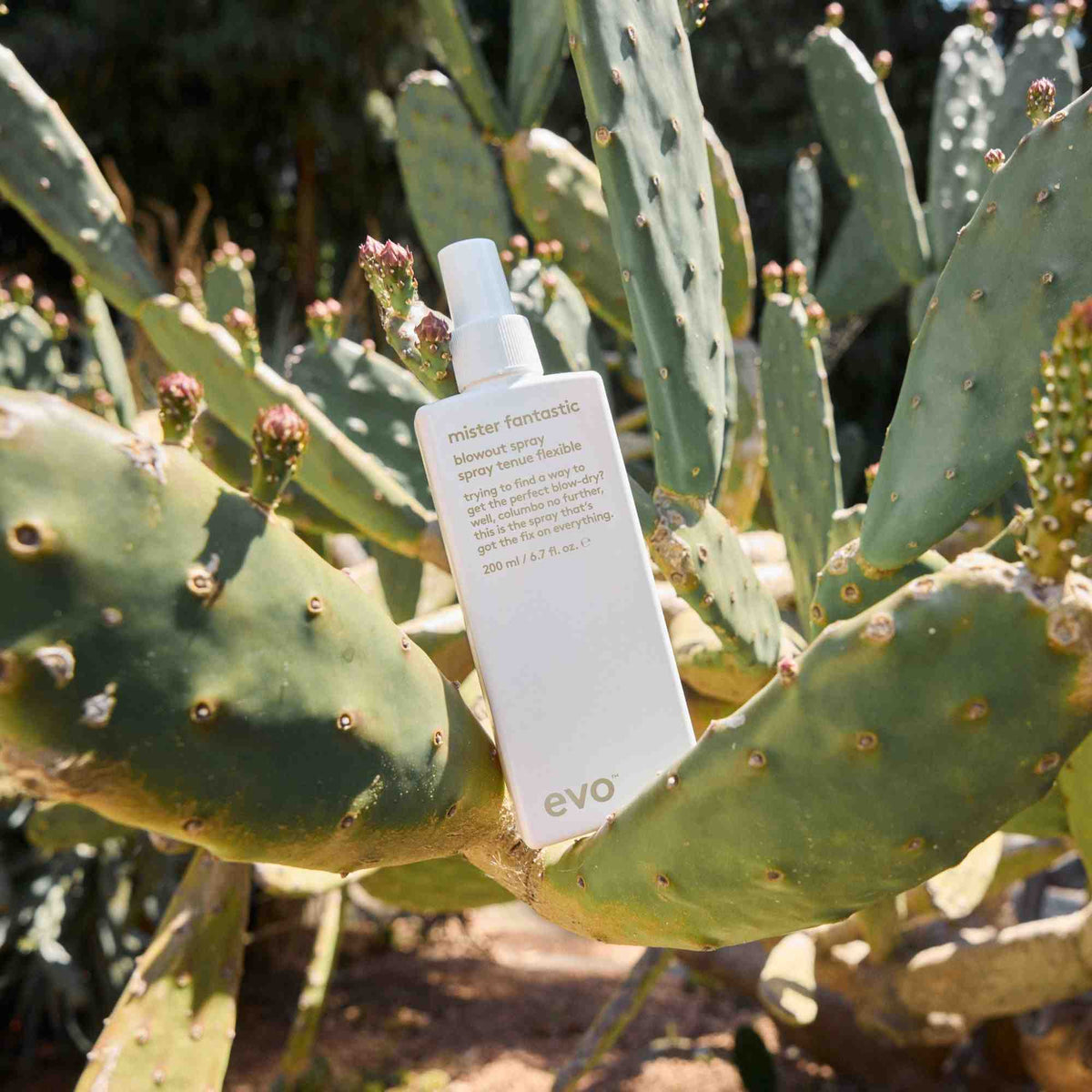 EVO Mister Fantastic Blowout Spray 200 ml - Stylingspray - JK-Shop