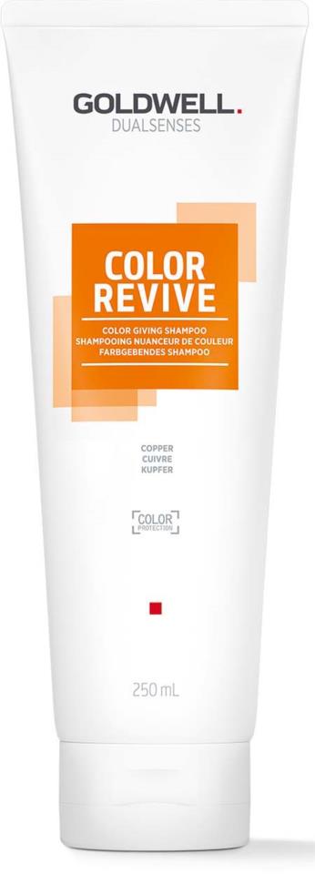 Goldwell Dualsense Color Giving Shampoo - Hårfarge - JK-Shop