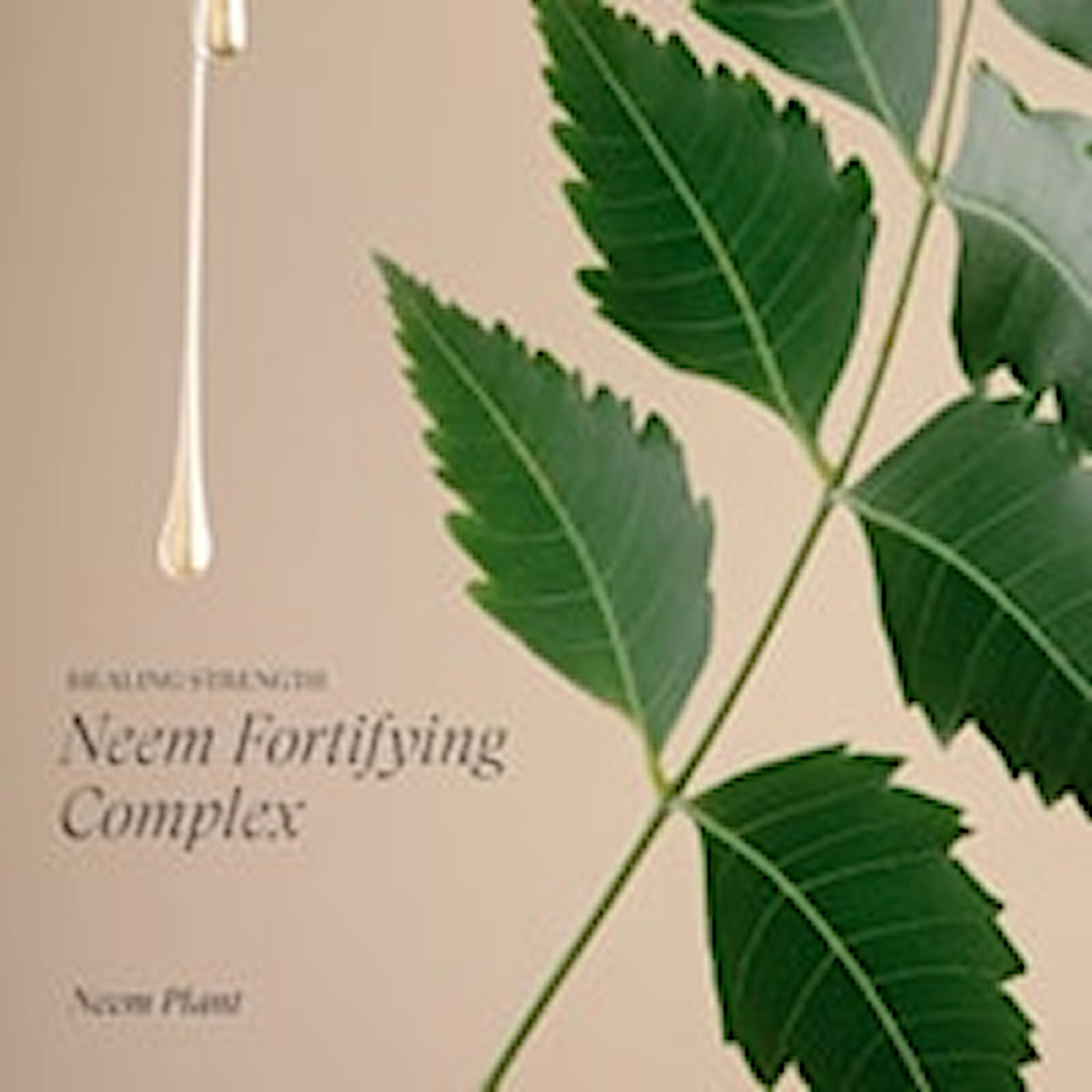 Lanza Healing Moisture - 4 størrelser - Hårpleie - JK-Shop