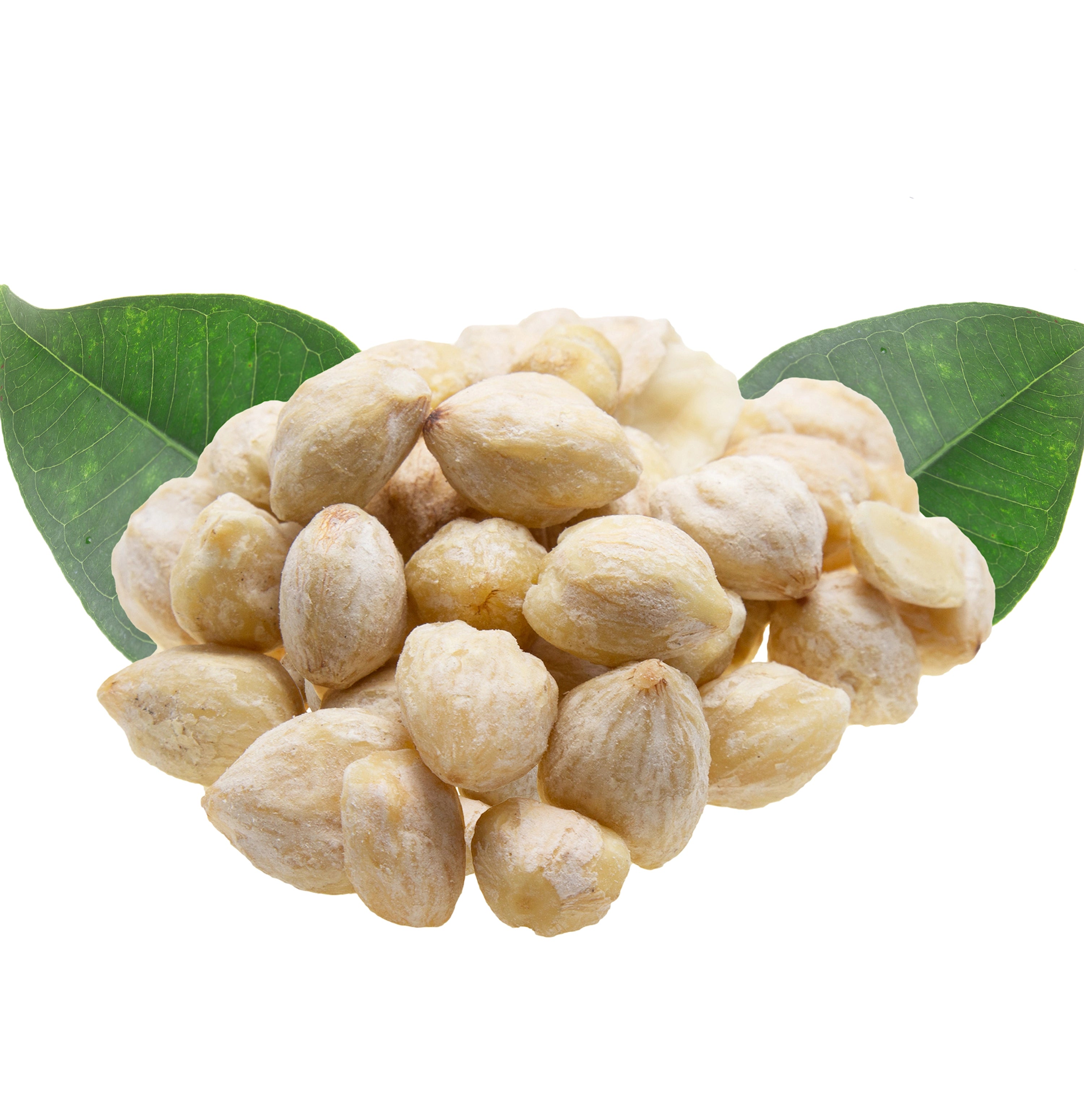 Lanza Kukui Nut Conditioner - Balsam - JK-Shop