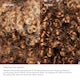 Olaplex No. 4C Bond Maintenance Clarifying Shampoo 20 ml - Sjampo - JK-Shop