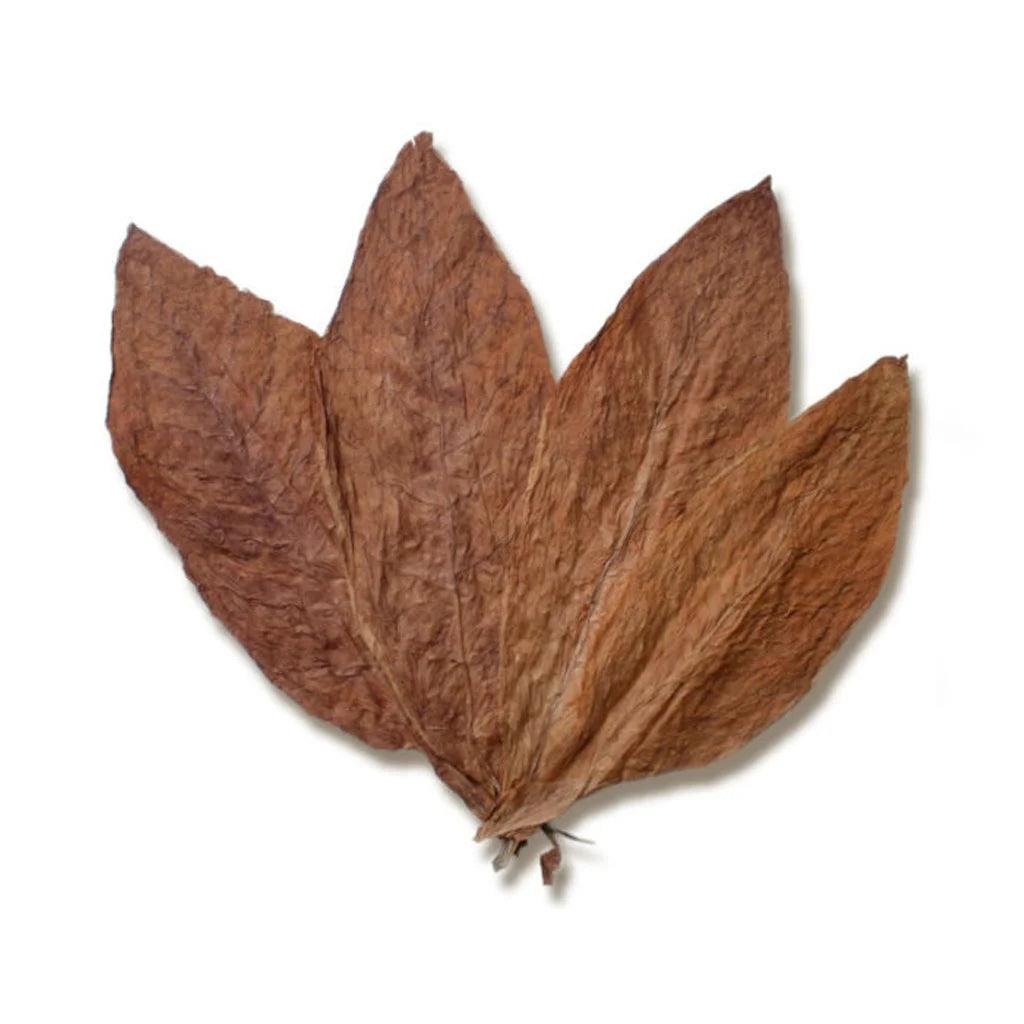 Taylor of old Bond Street, Tobacco Leaf Shaving Cream Bowl-Barberkrem-JKSHOP