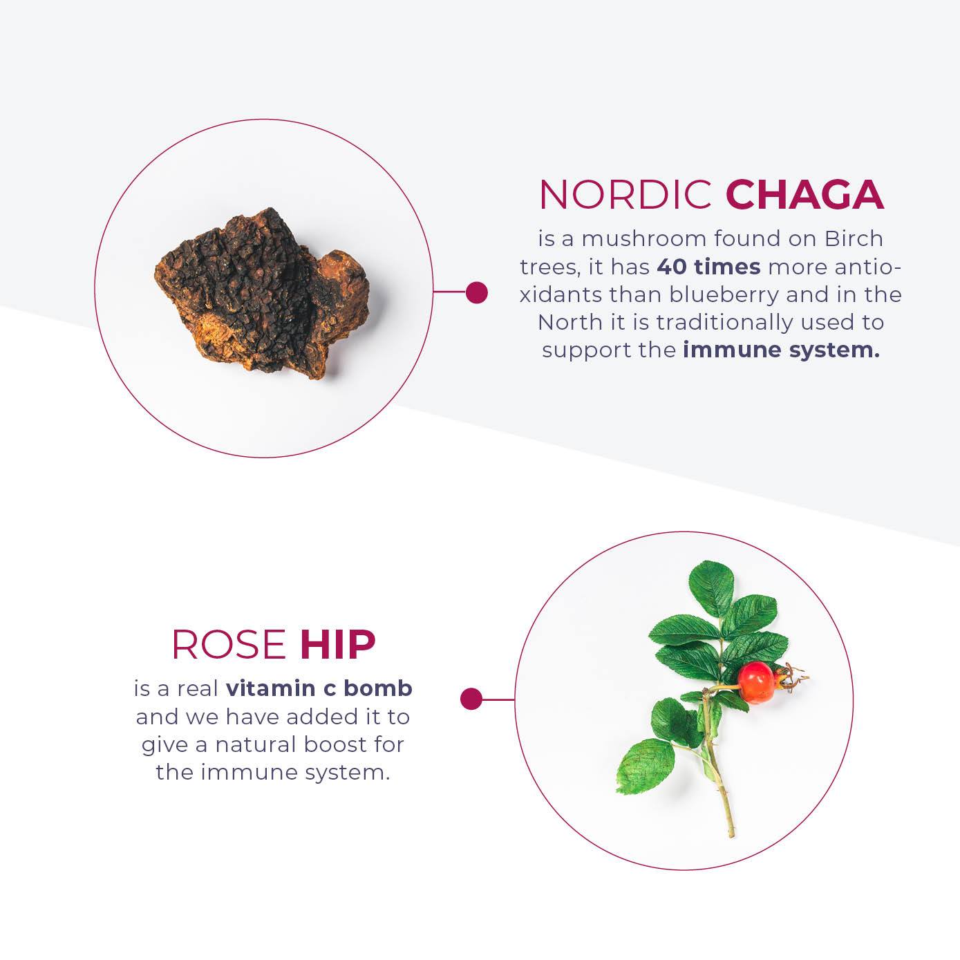 VITAMIN C 500, SINK & CHAGA - Vitaminer og kosttilskudd - JK-Shop