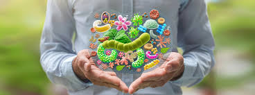 Prebiotika & probiotika