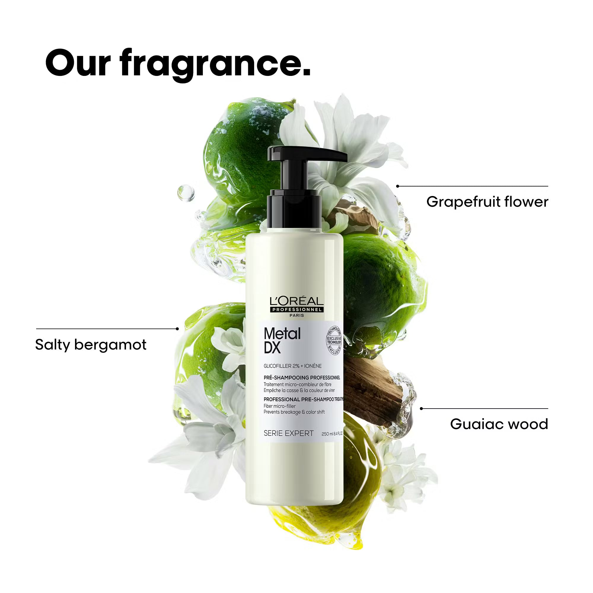 L’Oréal Metal Detox Pre Shampoo 250 ml