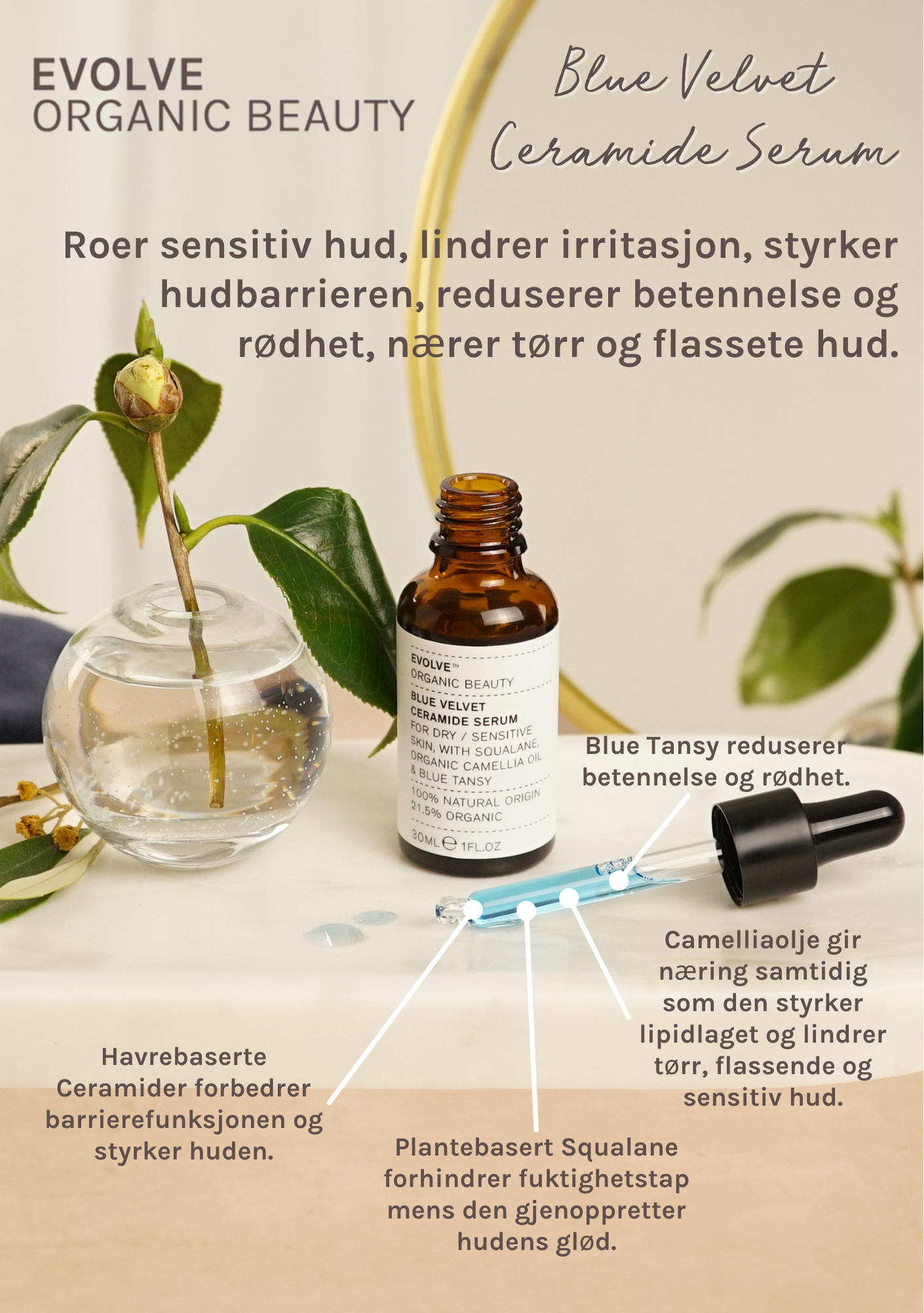 EVOLVE Blue Velvet Ceramide Serum