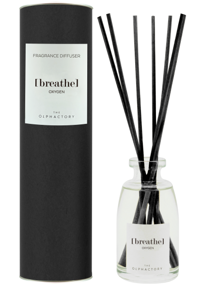 Ambientair Olphactory - Black Duftpinner