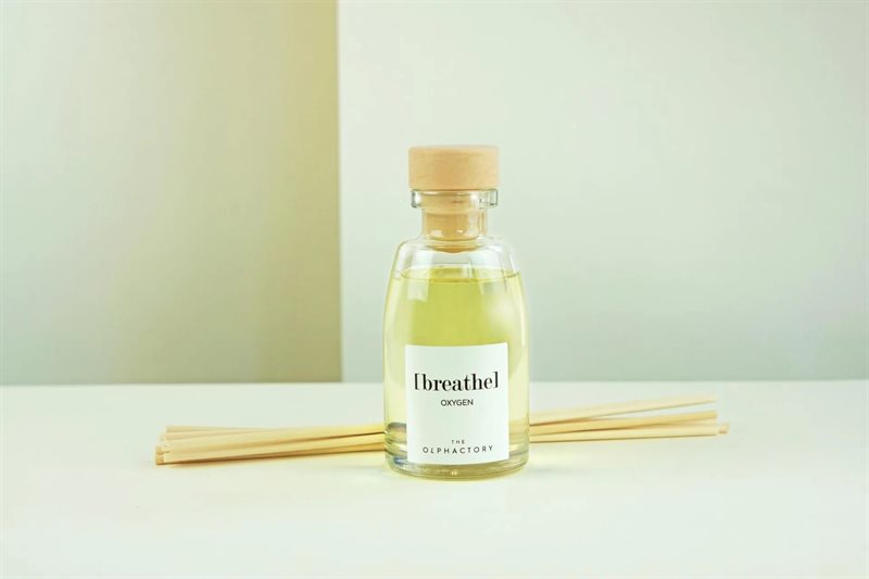 Ambientair Olphactory - Natural Duftpinner 100ml - Interjør - JK-Shop