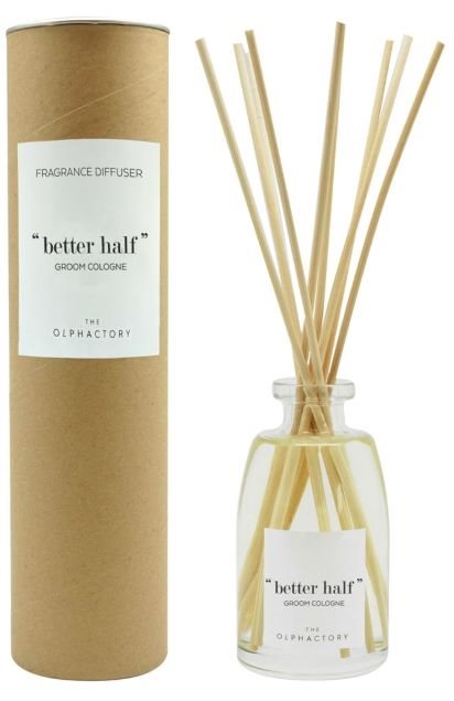 Ambientair Olphactory - Natural Duftpinner 100ml