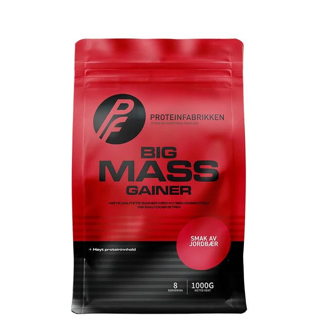 Big Mass Gainer, 1000 g - Gainer - JK-Shop