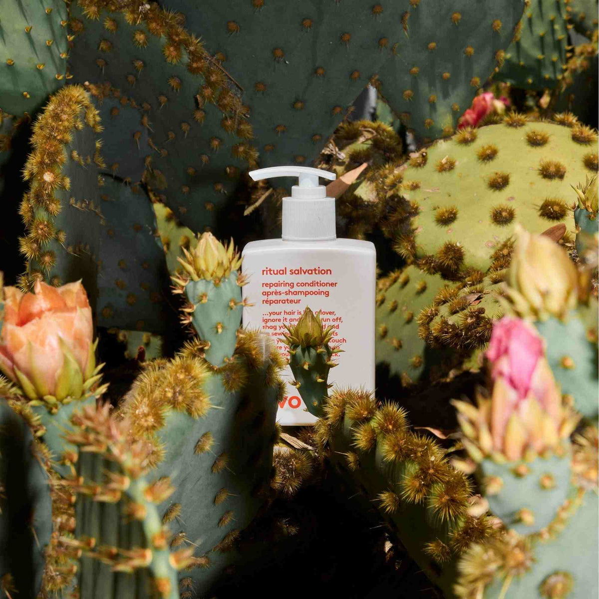 EVO Ritual Salvation Repairing Conditioner 300 ml - Balsam - JK-Shop
