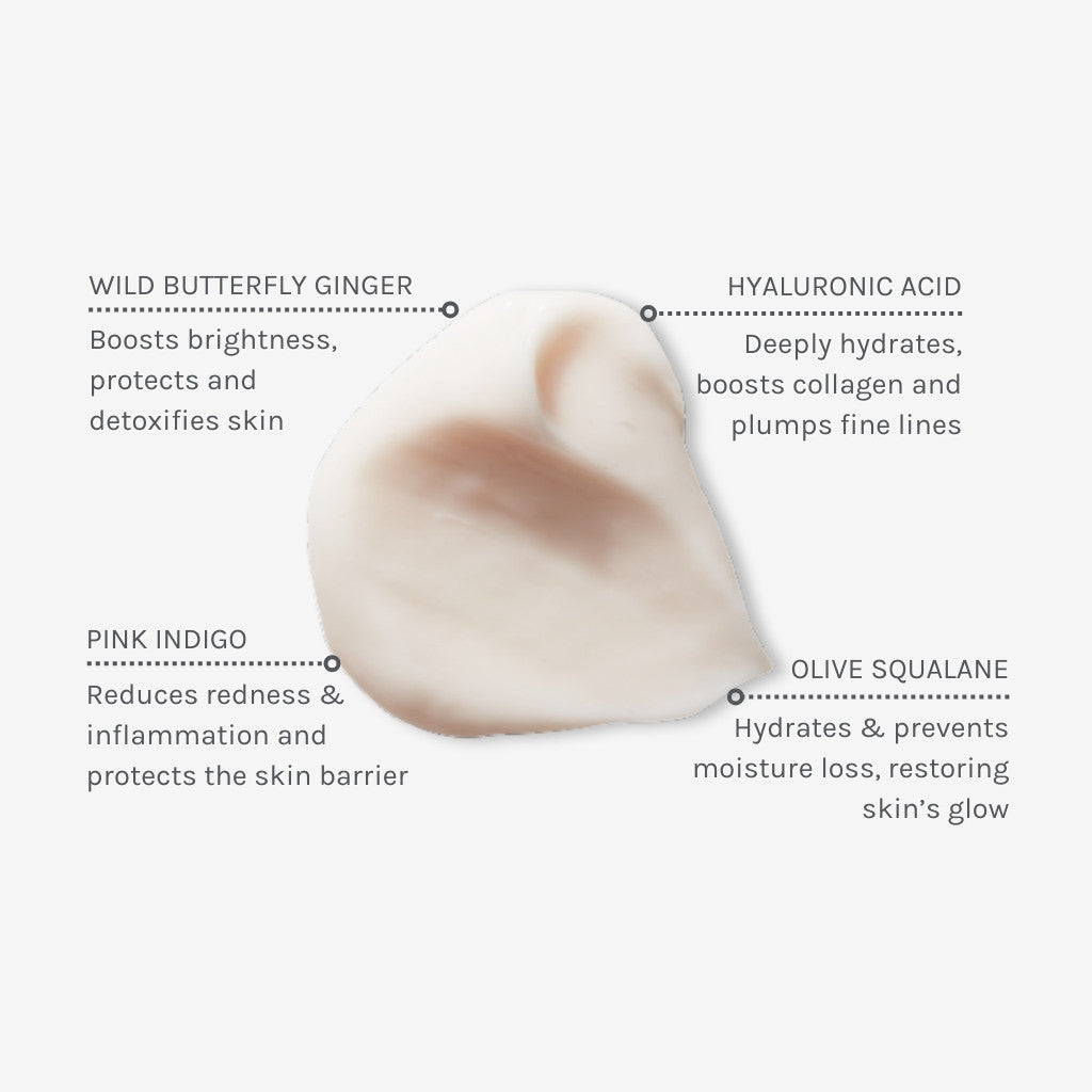 EVOLVE Hydrate & Protect Facial Cream - Ansiktskrem - JK-Shop