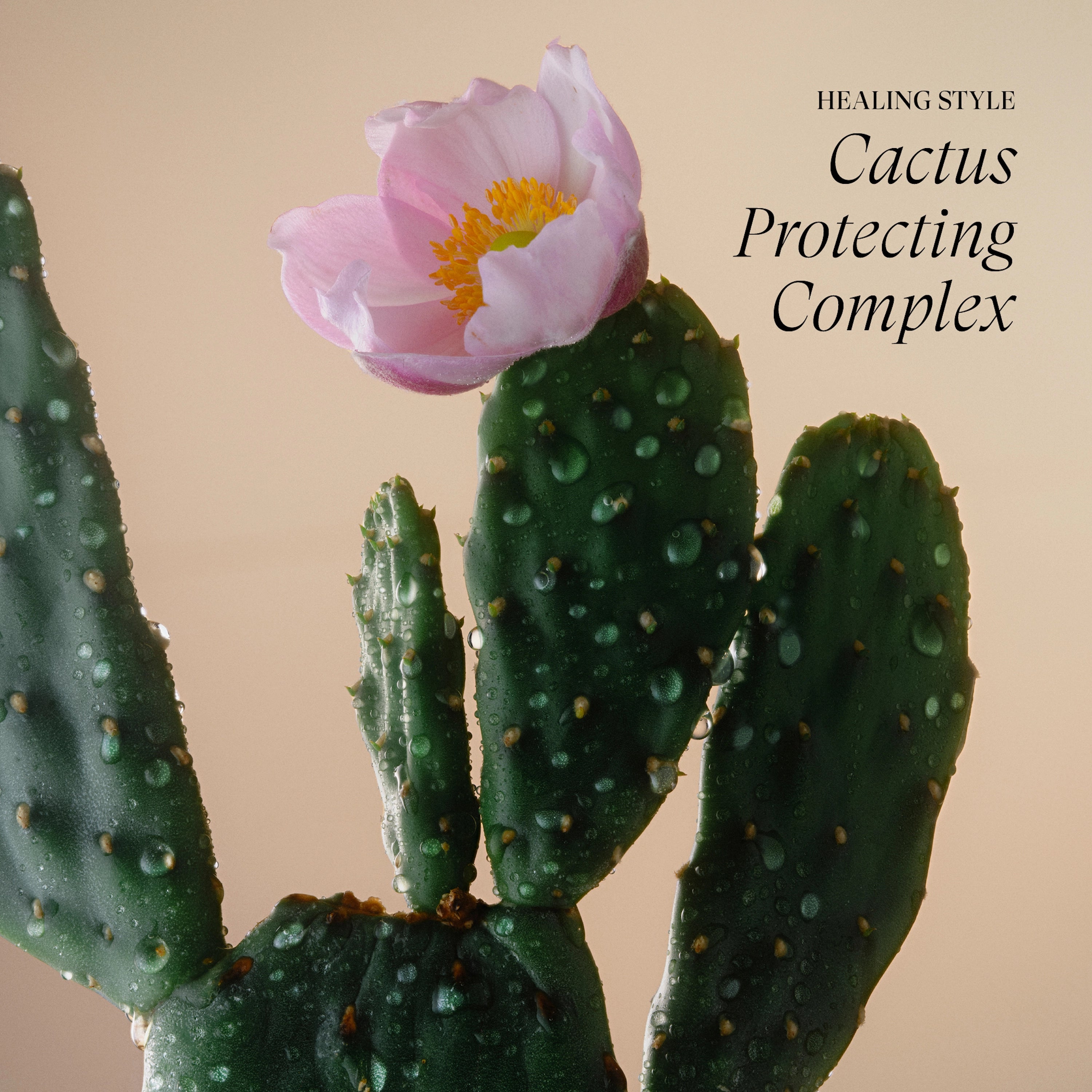 Lanza Healing Style - 9 typer - Hårstyling - JK-Shop
