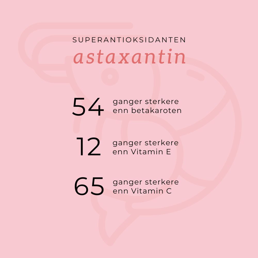OMEGA3 KRILL,  KOLIN & ASTAXANTHIN - Vitaminer og kosttilskudd - JK-Shop