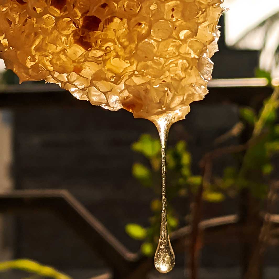 Panier Regenerating Honey Håndkrem - Håndkrem - JK-Shop