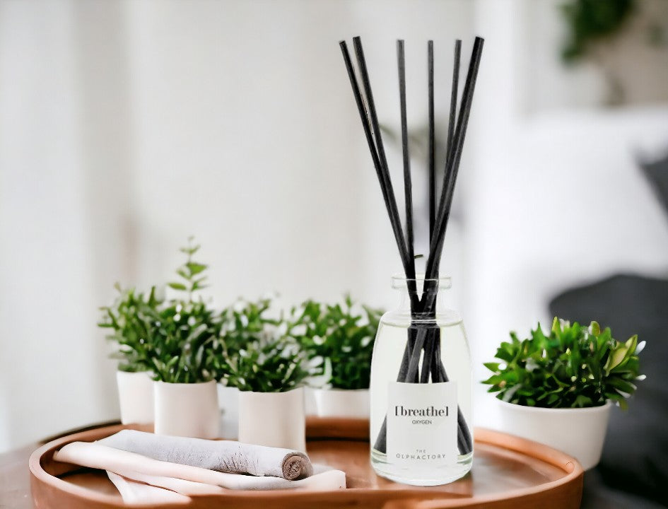 Ambientair Olphactory - Black Duftpinner